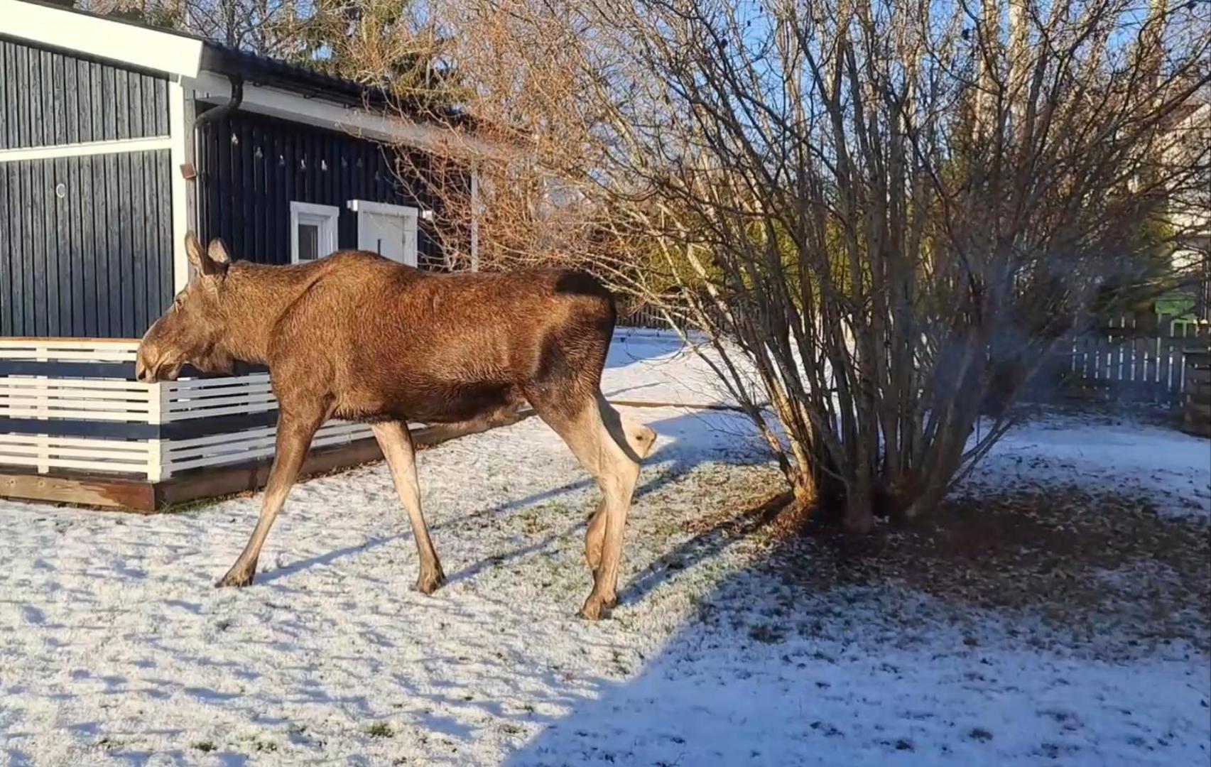 Lillhuset Naera Stockholm Villa Tungelsta Kültér fotó